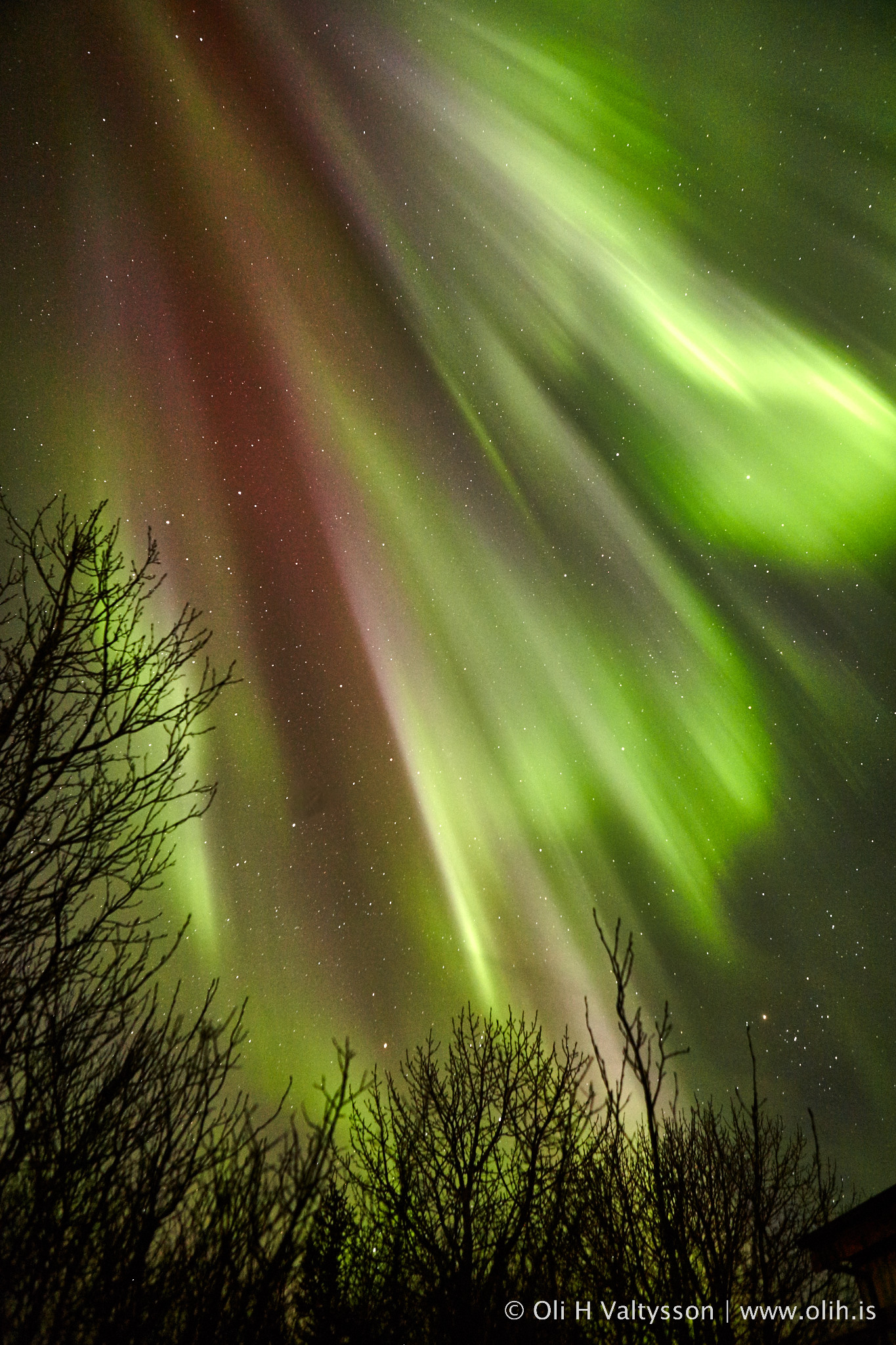 The Northern Lights, Aurora Borealis Iceland En Route Photo Tours