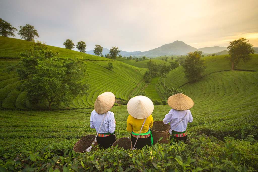 Vietnam Photo Tour - Long Coc - Oli Haukur Valtysson